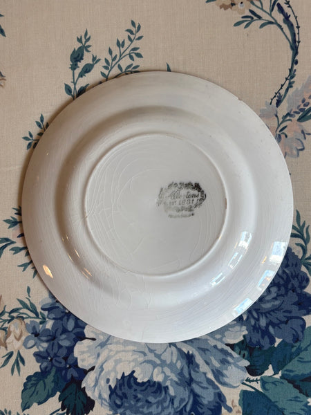Allerton's Gaudy Welsh "Oyster" Dessert Plate