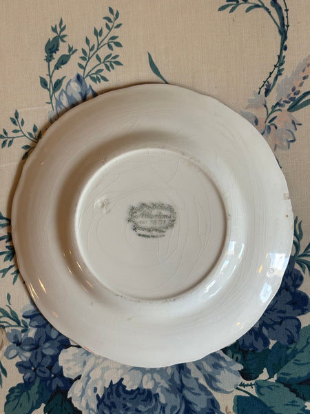 Allerton's Gaudy Welsh "Oyster" Dessert Plate