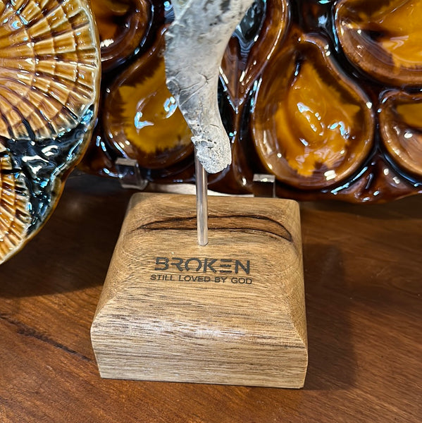 "Broken" Shell, Medium