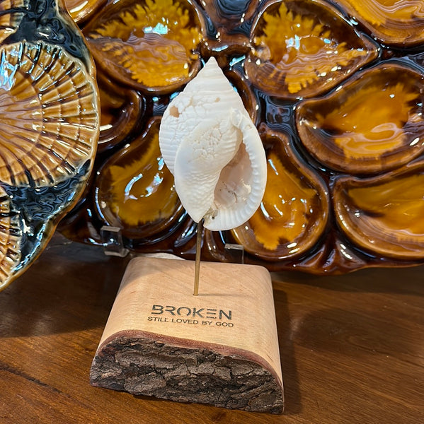 "Broken" Shell, Small