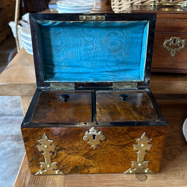 Victorian Burr Walnut and Brass Tea Caddy