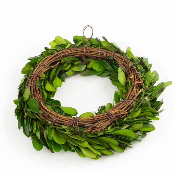 Preserved Boxwood Candle Ring - 6 Inch