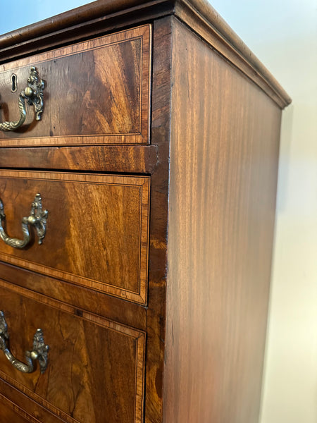 Mahogany Chest with Burl Walnut Inlay and Crossbanding
