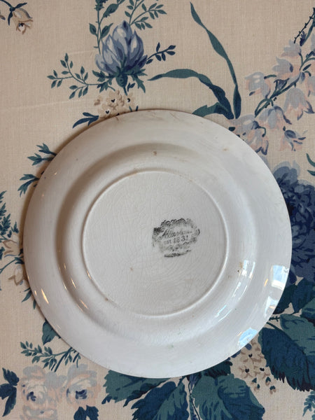 Allerton's Gaudy Welsh "Oyster" Dessert Plate