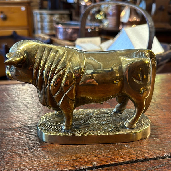Brass Bull