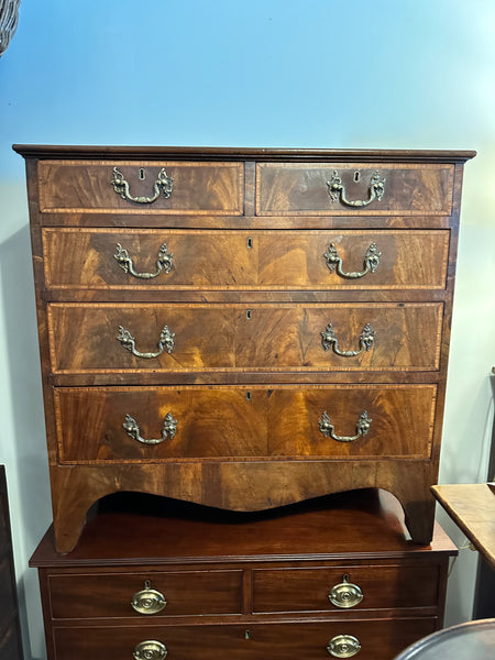 Mahogany Chest with Burl Walnut Inlay and Crossbanding