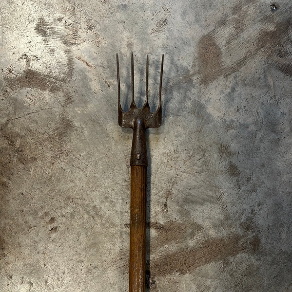 Small Garden Fork on Long Handle