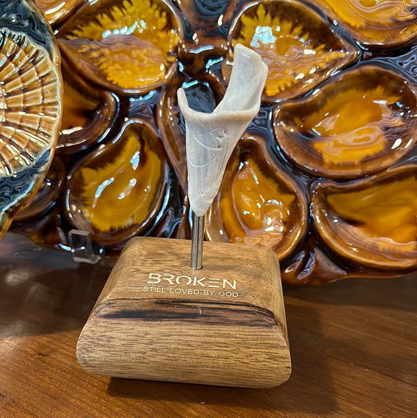 "Broken" Shell, Small