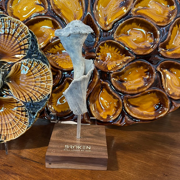 "Broken" Shell, Medium