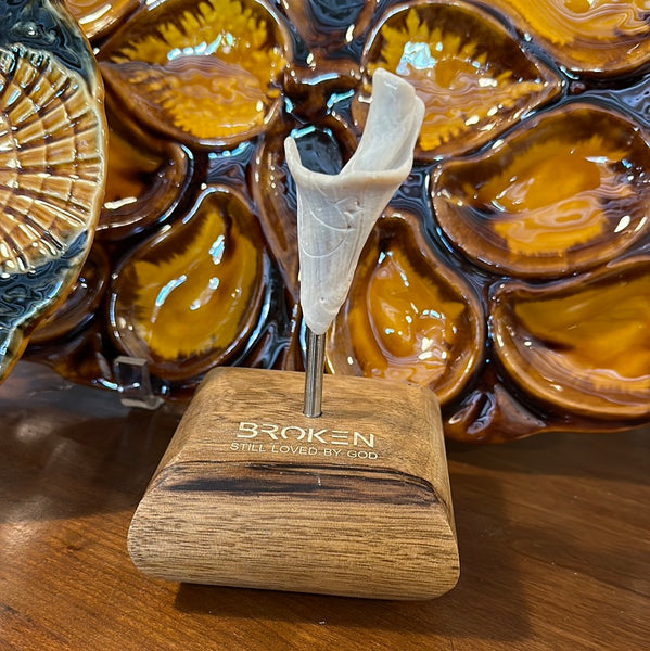 "Broken" Shell, Small