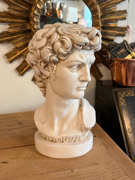 Bust of David, after Michelangelo