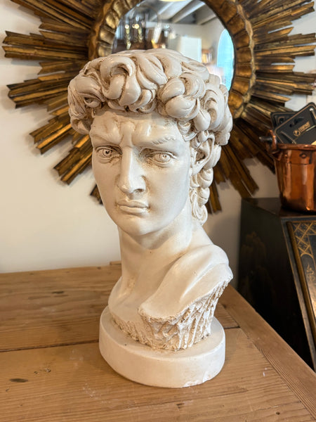 Bust of David, after Michelangelo