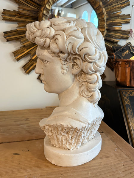 Bust of David, after Michelangelo