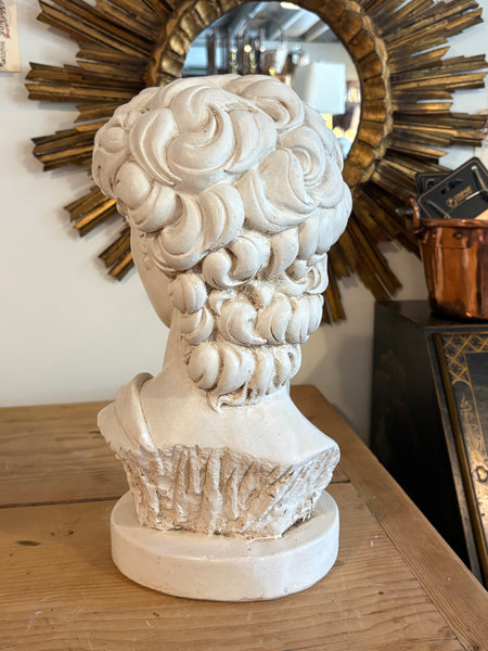 Bust of David, after Michelangelo