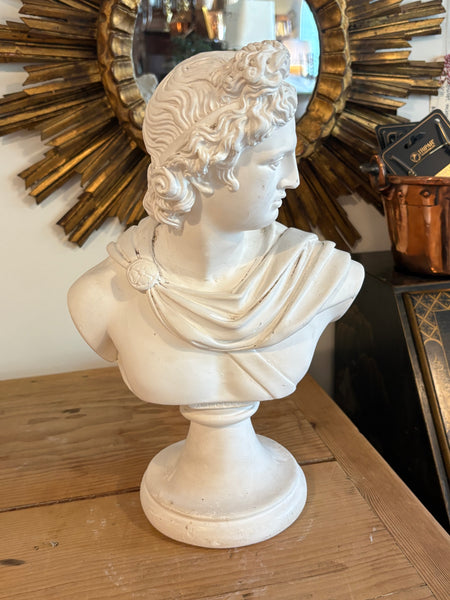Solid Plaster Bust of Apollo Belvedere