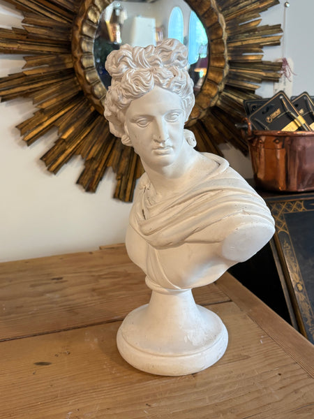Solid Plaster Bust of Apollo Belvedere