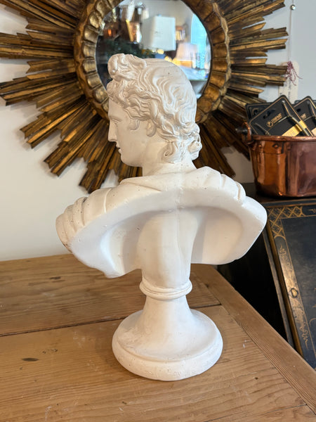Solid Plaster Bust of Apollo Belvedere