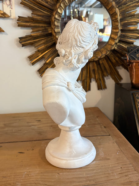 Solid Plaster Bust of Apollo Belvedere