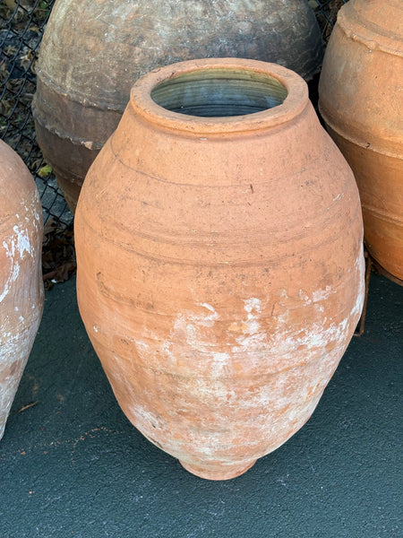 Greek Urn, Medium