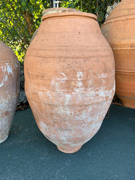 Greek Urn, Medium