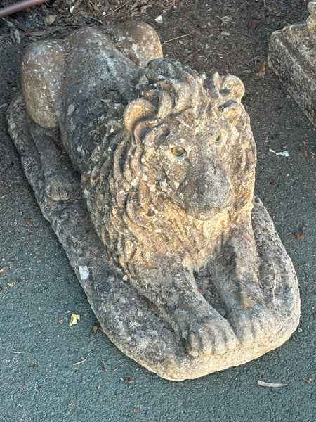 Pair of Stone Lions with Original Glass Eyes