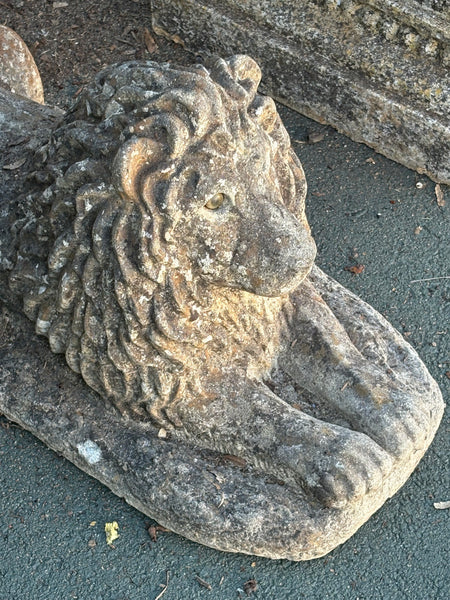 Pair of Stone Lions with Original Glass Eyes