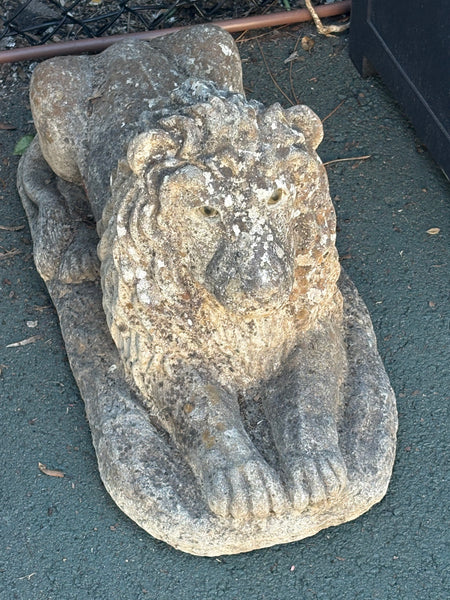 Pair of Stone Lions with Original Glass Eyes