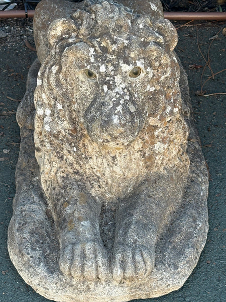 Pair of Stone Lions with Original Glass Eyes