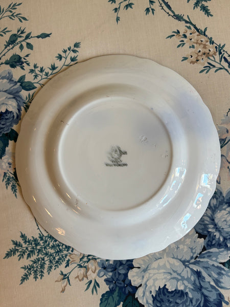 Allerton's Gaudy Welsh "Oyster" Salad Plate