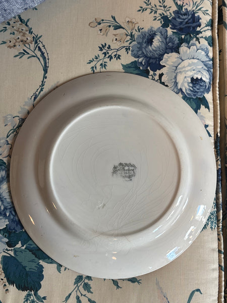 Allerton's Gaudy Welsh "Oyster" Dinner Plate