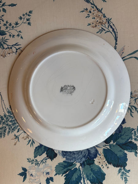 Allerton's Gaudy Welsh "Oyster" Dinner Plate