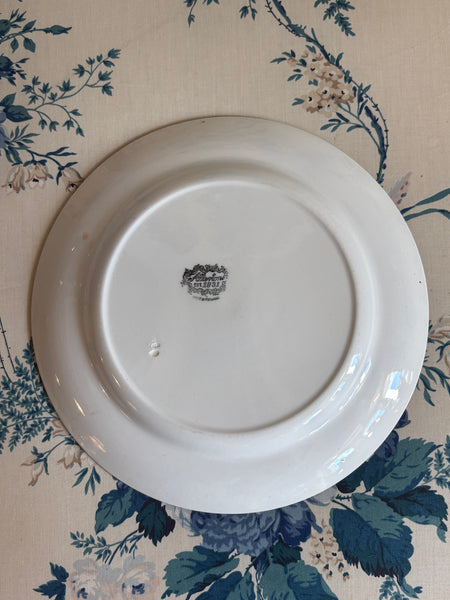 Allerton's Gaudy Welsh "Oyster" Dinner Plate