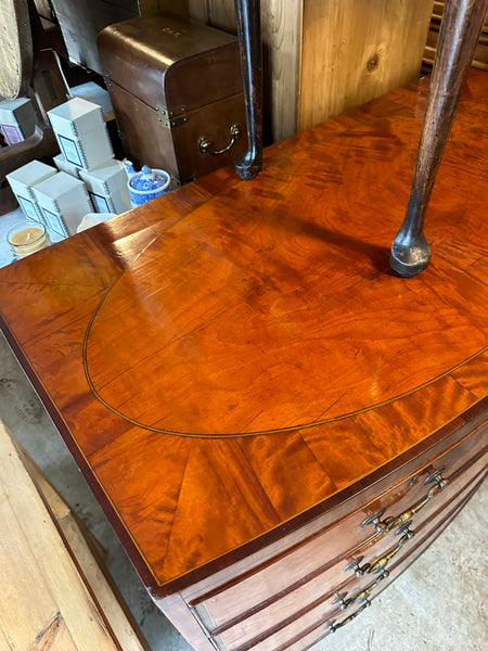 English Satinwood Bow Front Chest