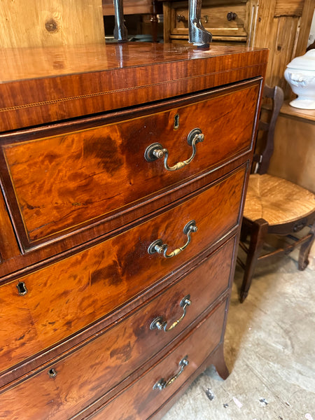 English Satinwood Bow Front Chest