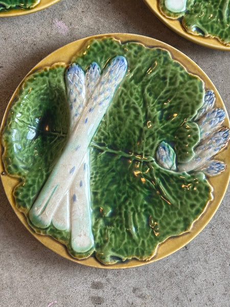 Majolica Asparagus Plate, Creil & Montereau Terre de Fer