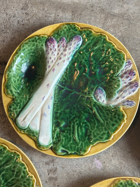 Majolica Asparagus Plate, Creil & Montereau Terre de Fer