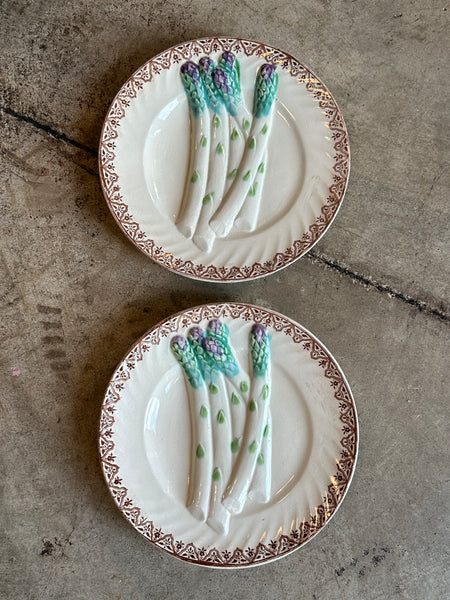 French Majolica Asparagus Plate, Salins