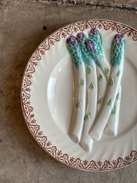 French Majolica Asparagus Plate, Salins