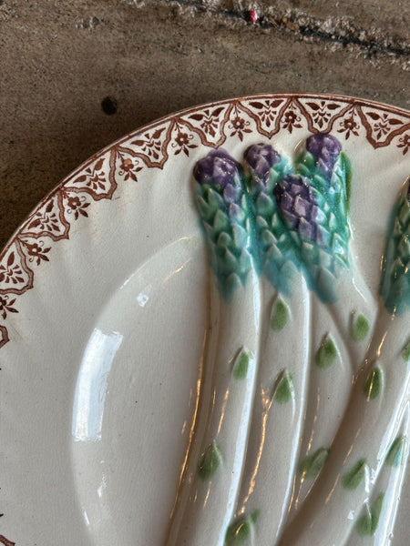French Majolica Asparagus Plate, Salins