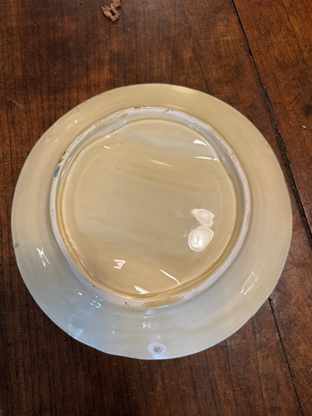 French Asparagus Plate, Brown Detailed Edge