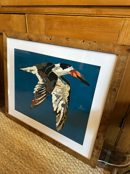 "Black Skimmer II" by Angela Hughes Zokan