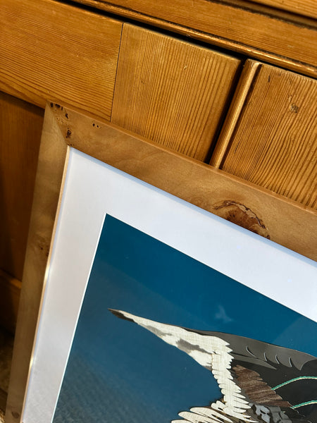 "Black Skimmer II" by Angela Hughes Zokan
