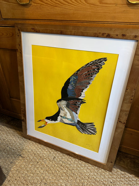 "Black Skimmer III" by Angela Hughes Zokan