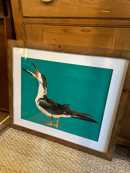 "Black Skimmer I" by Angela Hughes Zokan