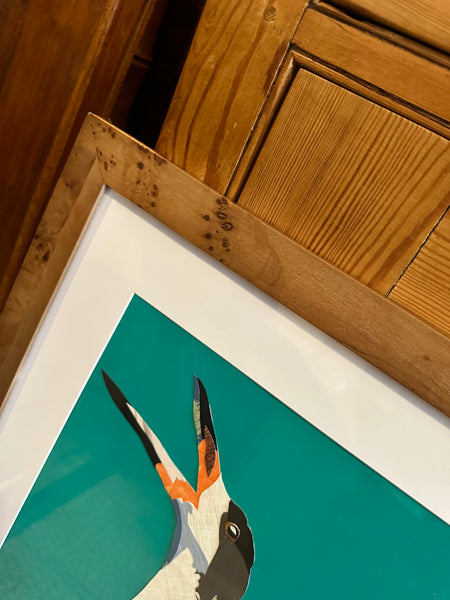 "Black Skimmer I" by Angela Hughes Zokan