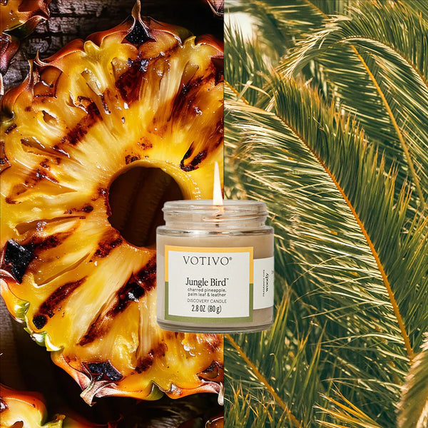 Jungle Bird Discovery Candle