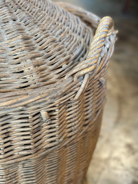 Wine Bottle in Wicker