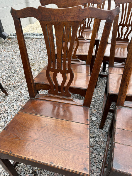 Set of Seven Chippendale Oak Chairs